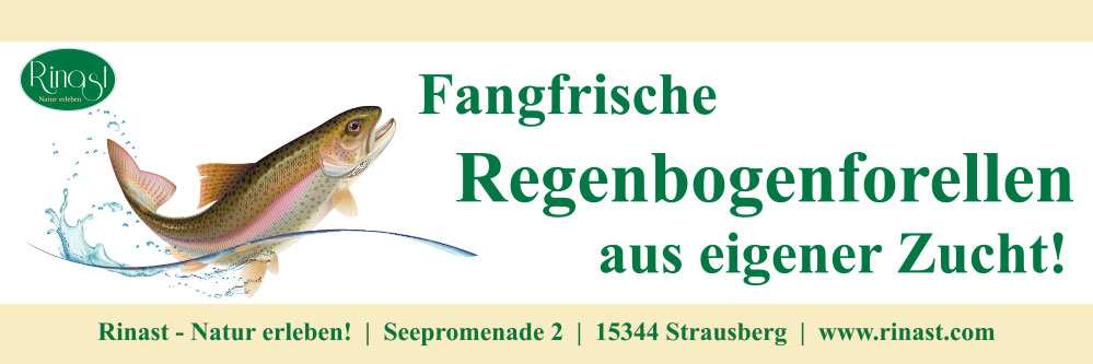 Headerbild 