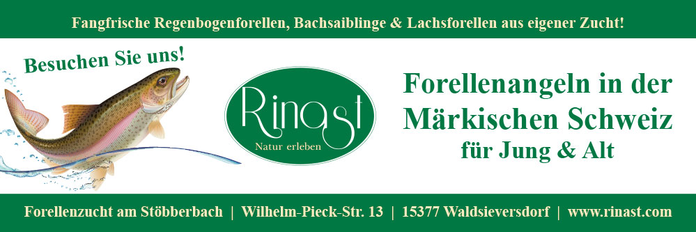 Headerbild 
